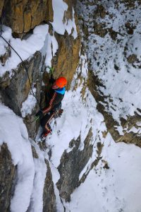Der Sportsman on mixed ground